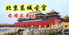 日女人骚逼网中国北京-东城古宫旅游风景区